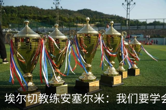 埃尔切教练安塞尔米：我们要学会优雅地收尾